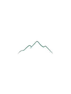 Logo montaña APUS